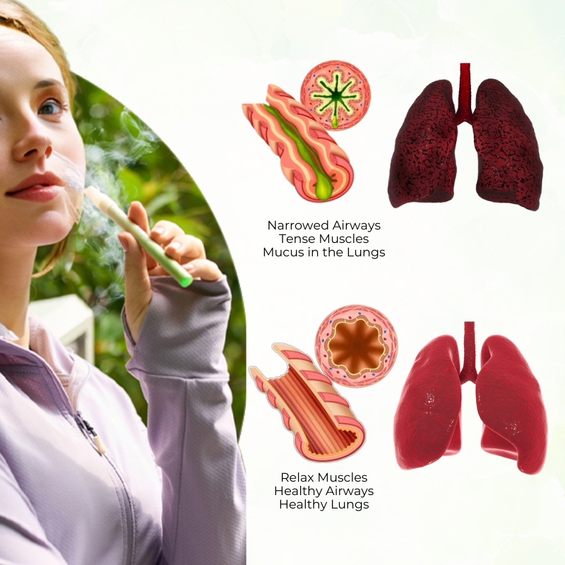 Final 3 Hours: 60% OFF-Blizkox™ Mullein Aroma Diffuser (Cough, wheezing, shortness of breath, sputum, stuffy nose, bronchitis, bronchitis, allergy symptoms, lung discomfort🚬)